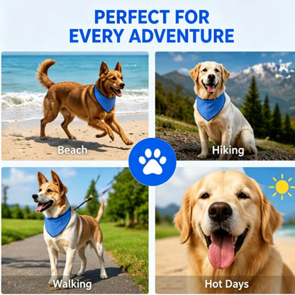 2026 Reusable PVA Pet Cooling Bandana Instant Cooling Neck Wrap for Dogs Cats Summer Outdoor Travel Ice Pack OEM