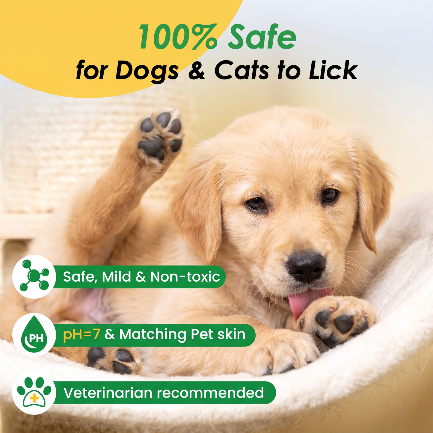 WipeMitt™ - Coconut Pet Grooming Glove Wipes (20/Pack)