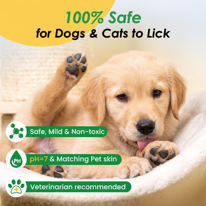 WipeMitt™ - Coconut Pet Grooming Glove Wipes (20/Pack)